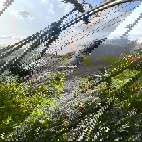 Ποδήλατο Sector Thor 29" σαν καινούργιο, μαύρο, με δισκόφρενα και μπροστινή ανάρτηση