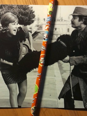 Aliki Vougiouklaki photograph new, Aliki diktator 15×19