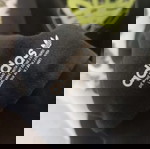  Φούτερ με κουκούλα ADIDAS SMALL