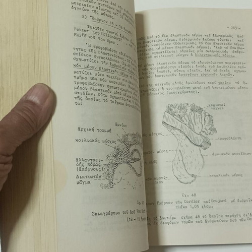 Histology and Embryology Notes and Exercises used, 1962 edition