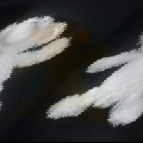 ΚΟΥΚΛΑΚΙ ΛΟΥΤΡΙΝΟ