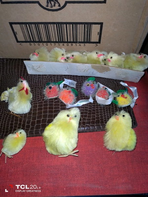 Κοτόπουλα γιορτινά νέα με μαλακό τρίχωμα σε διάφορα μεγέθη