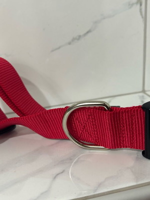 Немски нашийник нов за средни и едри породи