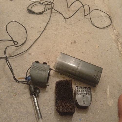 Aquarium internal filter and thermostat used, working perfectly