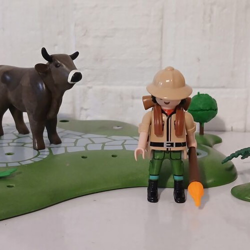 Playmobil explorer set
