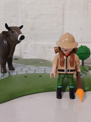 Playmobil explorer set
