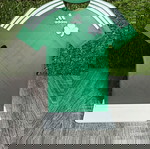  Διακοσμητική Φανέλα Παναθηναϊκού 2009-2010 – 3D Printed Διακοσμητικό