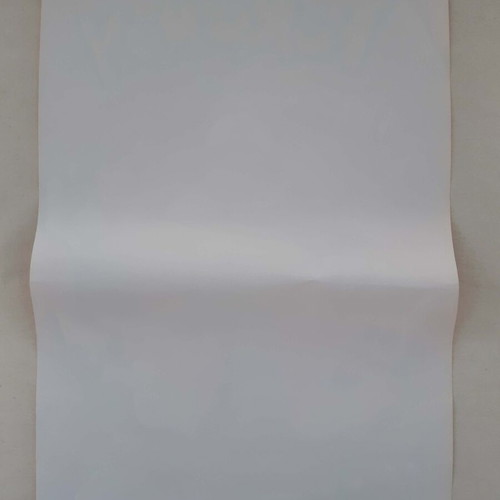 Pokemon Piasta Ola Poster new 49x34cm