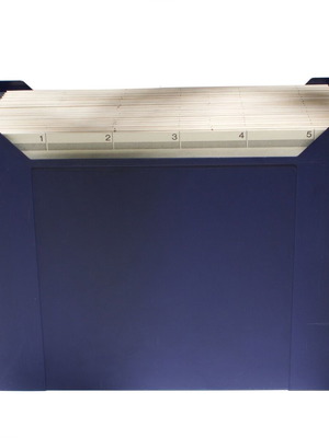 Elba A4 Hanging File Folder Case like new, 20 folders