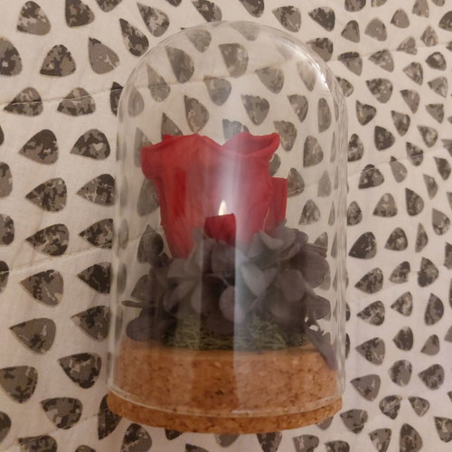 Forever Rose in Glass Dome with Dried Hydrangea, Like New