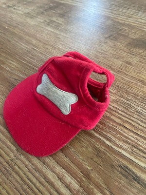 Dog hat used, for small breeds up to 8 kg