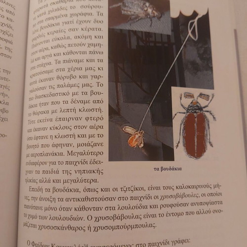 Oli i Zoi Paixnidi like new