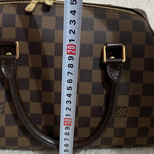 Louis Vuitton Damier Ebene Ribera MM handbag, brown
