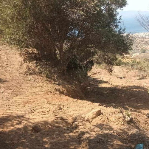 Buildable agricultural land 2,030 sqm in Mesochori Voion Laconia with view