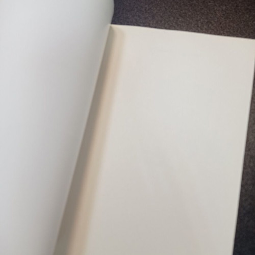 One Dangerous Trader Nik Lizon book like new