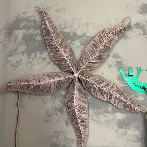 Dryades illuminated starfish wall light used