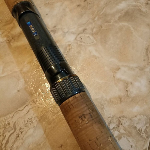 Zebco Praktica DX-60 Fishing Rod, 40-60