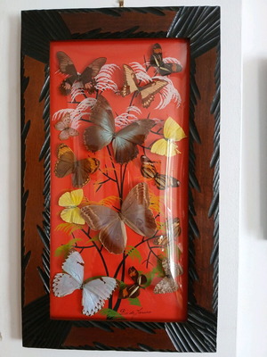 Vintage βραζιλιάνικο κάδρο με πεταλούδες σαν καινούργιο