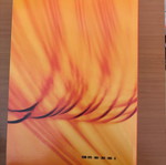 Book Economic Analysis used