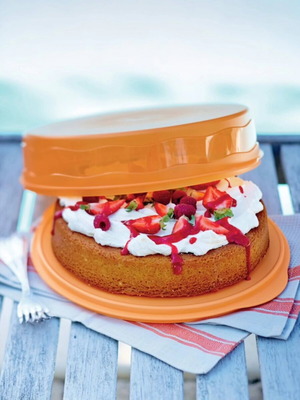 Expression cake server Tupperware new in cheerful color