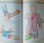 First Aid book used, T.E.E. 1999