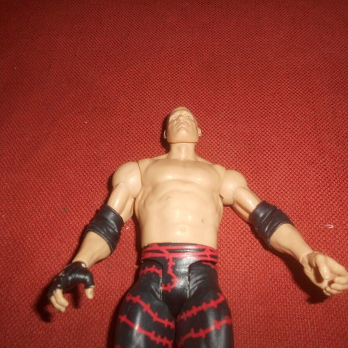 WWE Wrestling Ruthless Aggression Mattel 2010 Action Figure used