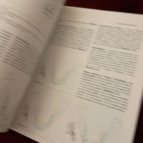 Function and Dysfunction of the Stomatognathic System New University Textbook