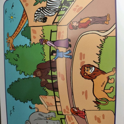 Little Freddy Flashcard Book like new