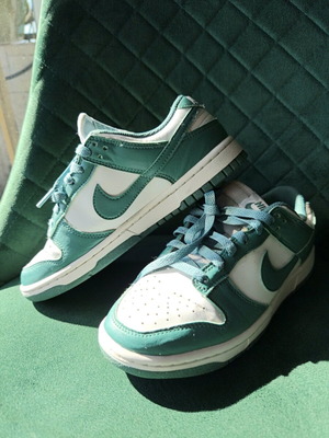 Nike Dunk Low Next Nature Bicoastal sneakers used, size 38