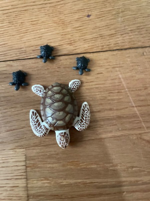 Playmobil Caretta Caretta with Baby Turtles New