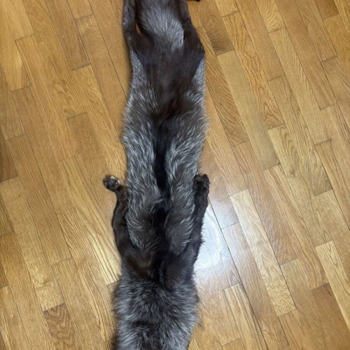 Authentic Vintage Fur / Silver Fox Leather brand new Ideal for home decoration