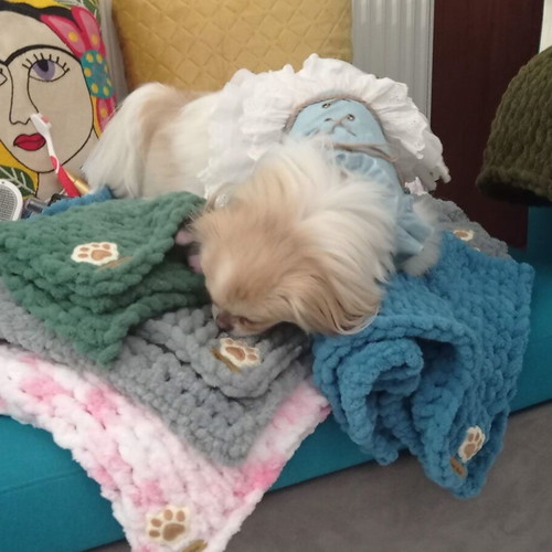 Handmade pet blanket with Alize Puffy yarn made to order, hypoallergenic
