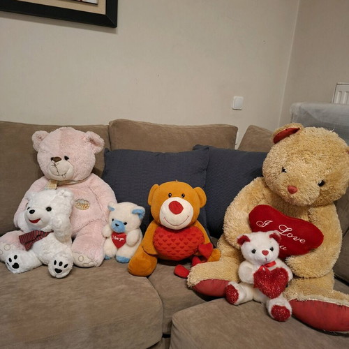 Stuffed teddy bears used, set