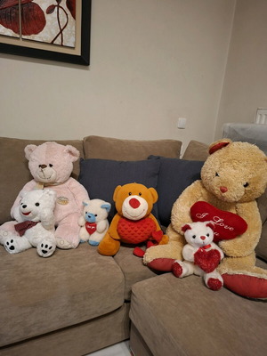 Stuffed teddy bears used, set