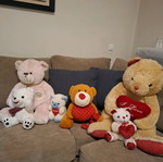 Stuffed teddy bears used, set