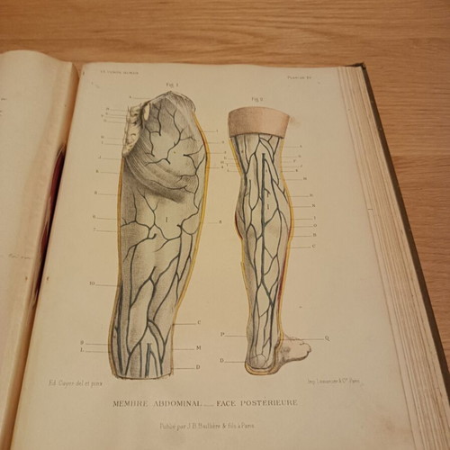 Atlas manuel d anatomie by Édouard Cuyer used, 1895 medical art book