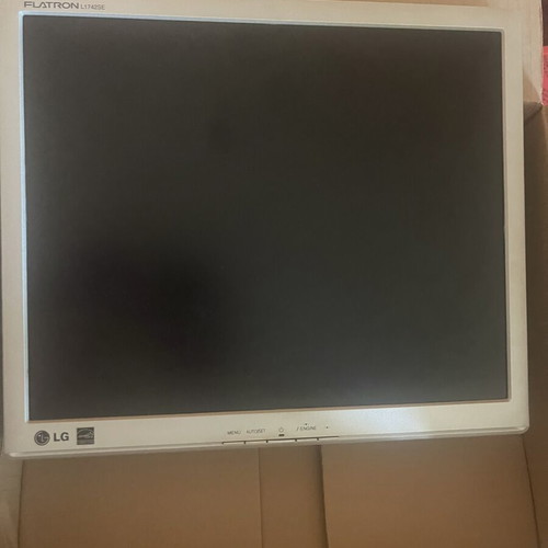 LG computer monitor Flatron