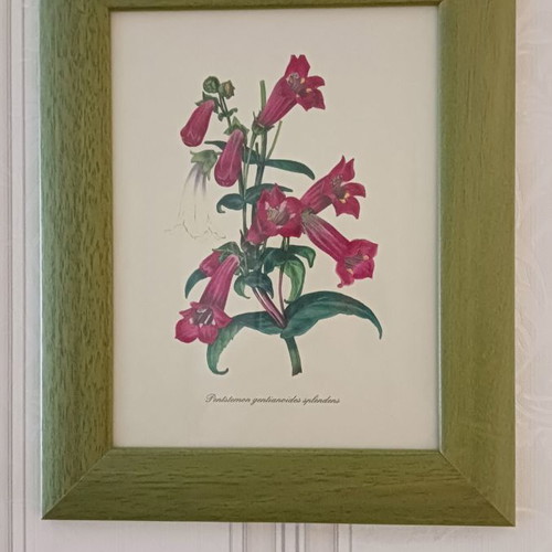 Picture frame used, available in several pieces and designs