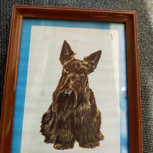 Collection of 4 framed animal art prints from England