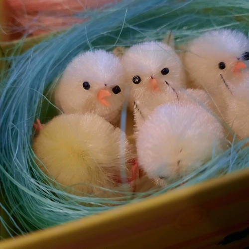 Easter set 4 nests with 6 chicks new