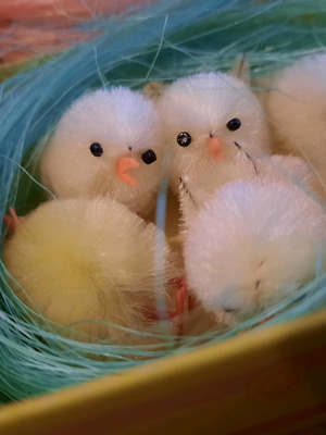 Easter set 4 nests with 6 chicks new