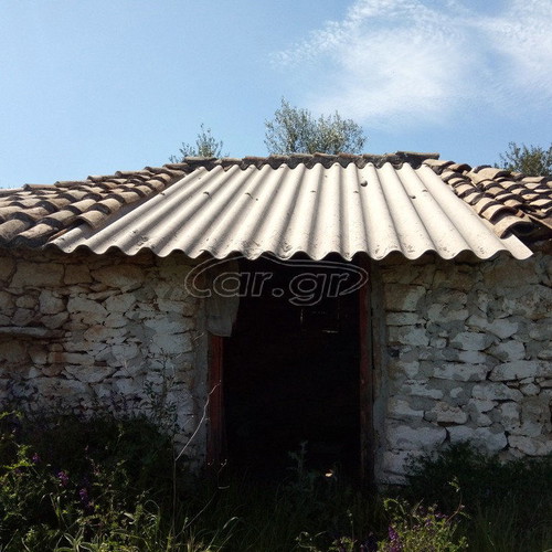Building land with olive trees in Messinia, Petalidi Achladochori