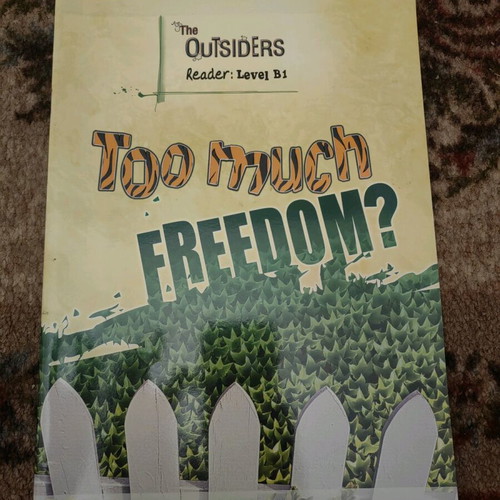 The Outsiders Level B1 used English language book