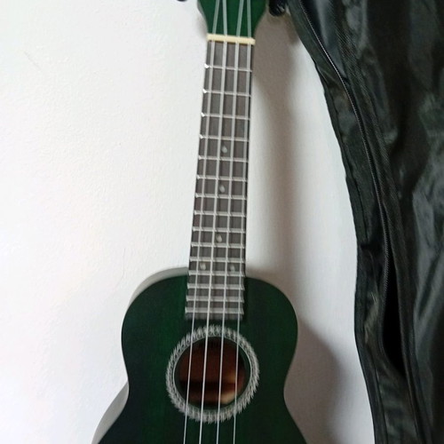 Classical and electroacoustic guitars with cases new