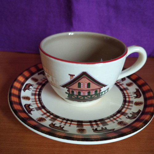 Niderviller France Saint Moritz collectible cups set of two for espresso
