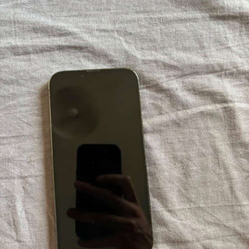 Apple iPhone 13 Pro Max 256GB, green, dual SIM