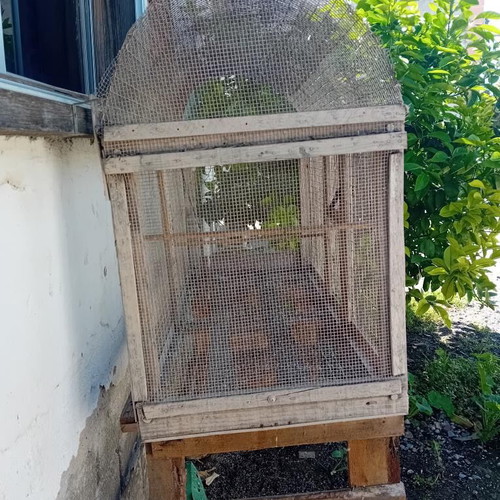 Birdcage used for molting