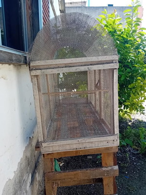 Birdcage used for molting