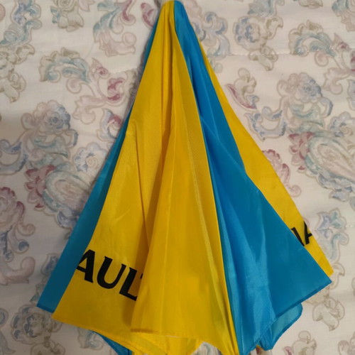 Renault F1 Team Polo 2006 used, vintage Fernando Alonso