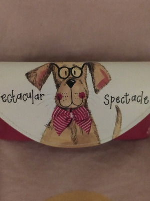 Glasses case